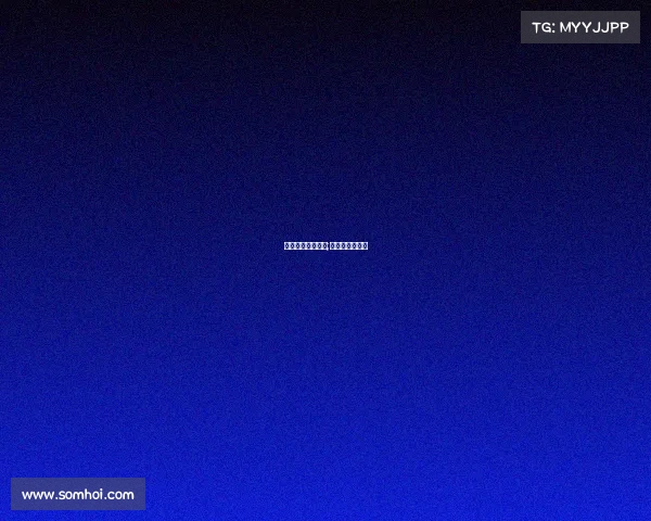 拳击去俄罗斯赛事;拳击冠军俄罗斯